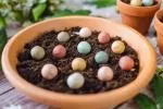 Blossombs Seed Bombs - Conjunto de mini prendas (4 peças) - prenda original e prática num só