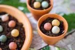 Blossombs Seed Bombs - Conjunto de mini prendas (4 peças) - prenda original e prática num só