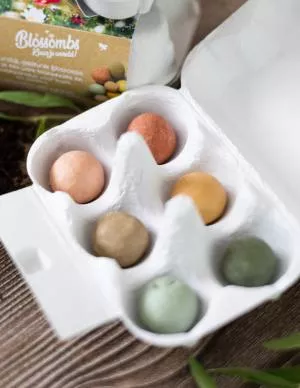 Blossombs Bombas de sementes - Caixa de oferta de ovos - primavera (6 peças) - flores do prado selvagem