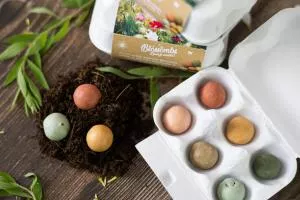 Blossombs Bombas de sementes - Caixa de oferta de ovos - Bouquet (6 peças) - uma prenda original e prática