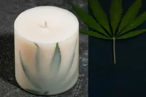 TL Candles Vela de soja com aroma de sálvia XL