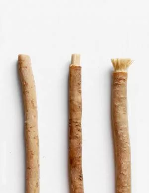 Yoni Escova de dentes natural de Salvadora persica (separada)
