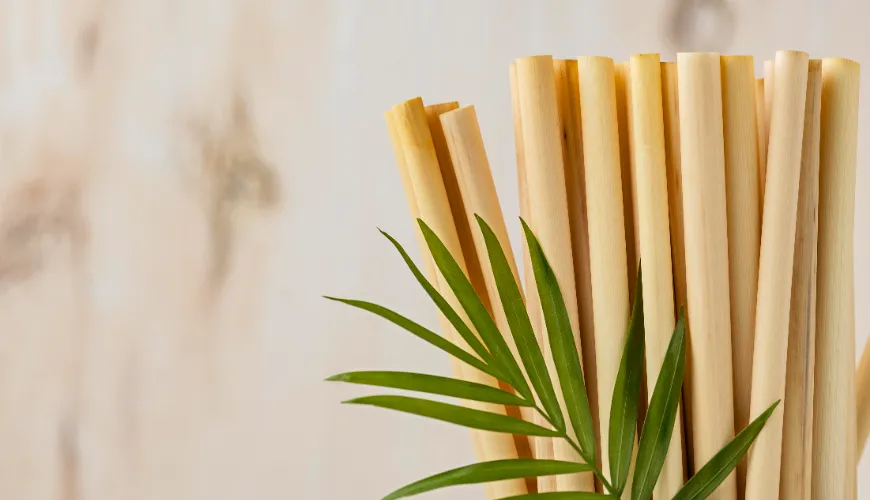 Canudos de bambu são uma escolha moderna para um mundo melhor