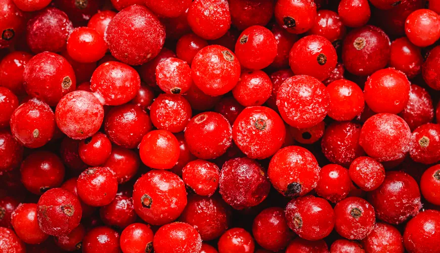 ## Vantagens das cranberries para mulheres grávidas

As cranberries, também conhecidas como oxicocos