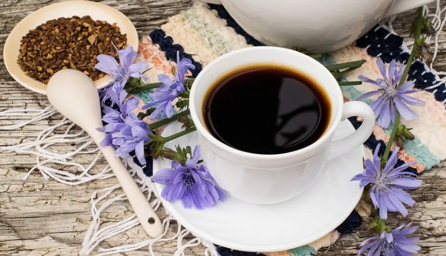 Efeitos do café de chicória que apoiam a sua saúde