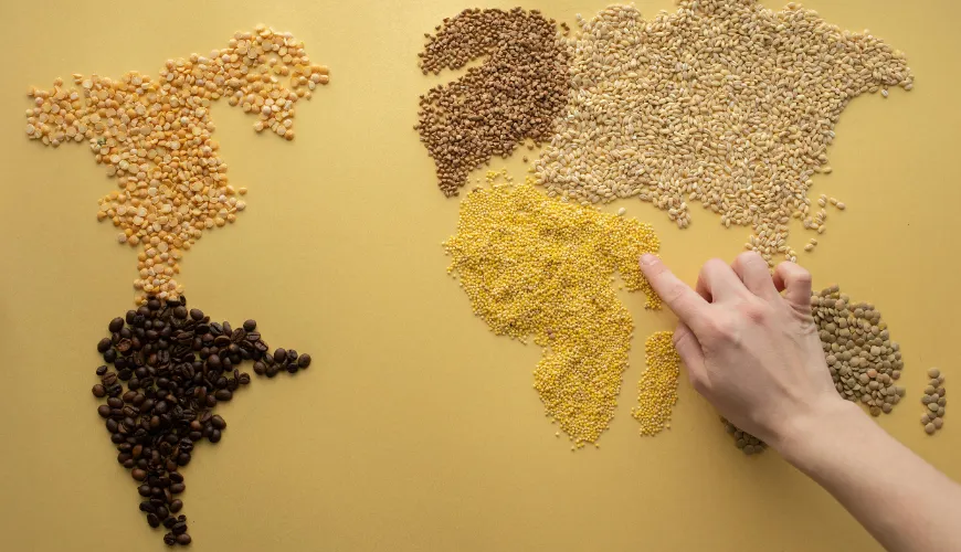 Por que os grãos de sorgo deveriam estar na sua dieta