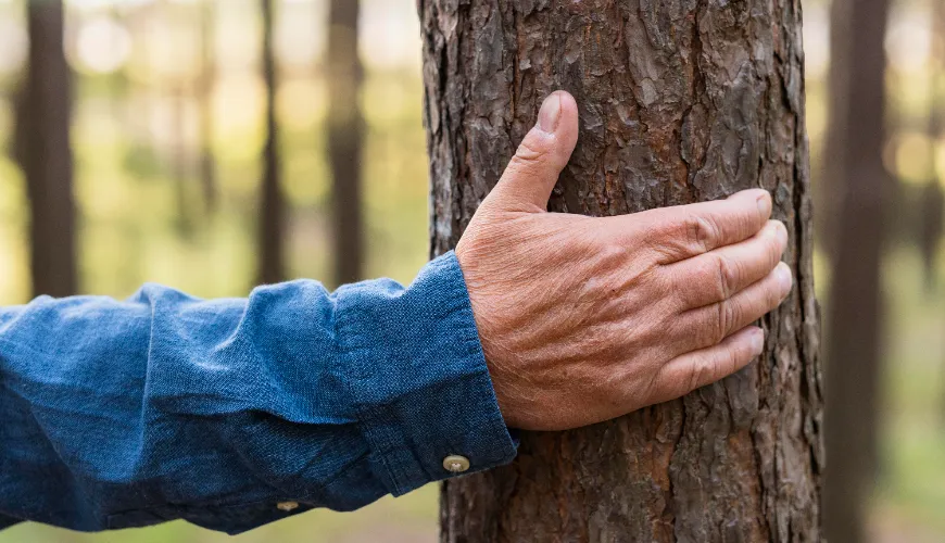 Dicas comprovadas para remover resina de tecidos