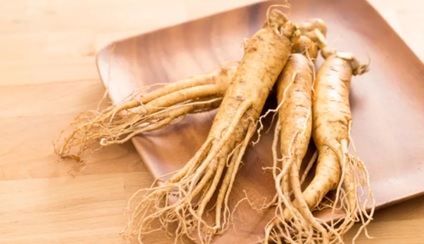 Qual ginseng lhe dará energia e melhorará seu desempenho?